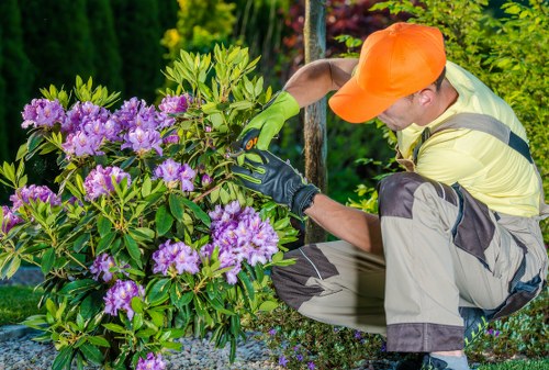 Accessibility statement for Tree Surgeons Shortlands with inclusive website design