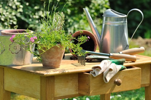 Hedge cutting and garden boundary care in Shortlands