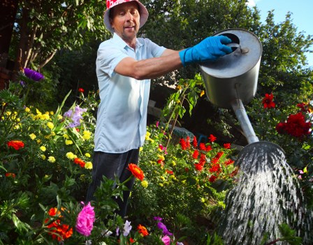 Tree surgeons team reviewing ethical labour standards