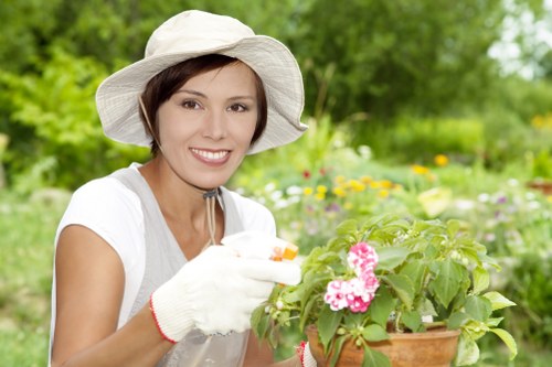 Professional tree maintenance for homes and businesses in Shortlands
