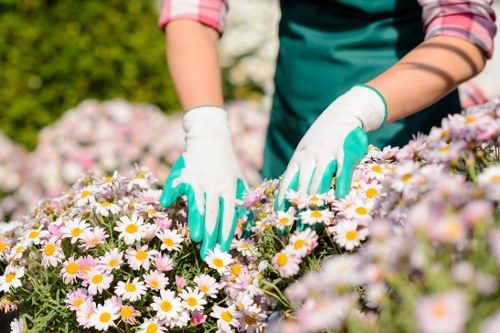 Accepted payment methods for Tree Surgeons Shortlands including card and online payments