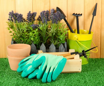 Reliable and PCI-compliant Tree Surgeons Shortlands payments page